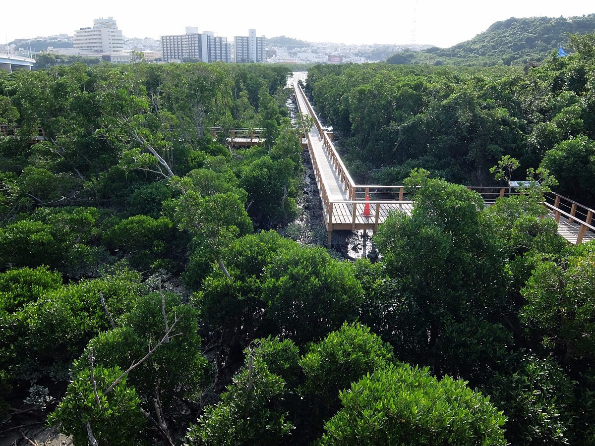 🏰 토미구스쿠 성터(도미구스쿠 구스쿠) 이미지 6